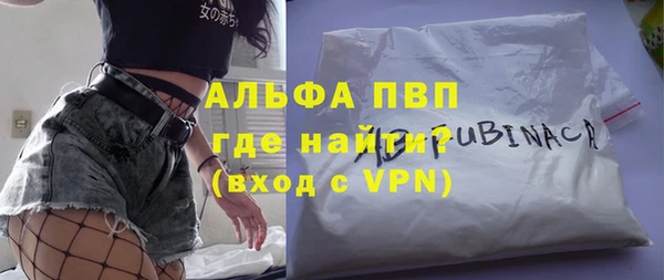 гашик Козловка