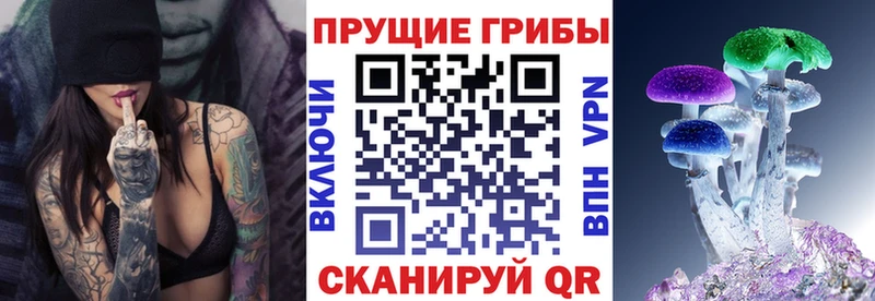 Галлюциногенные грибы мицелий купить наркотики сайты Медвежьегорск
